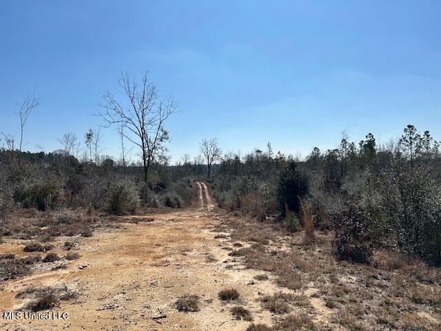 Fantastic 91 acre property in Sandy Hook, MS offering the - photo 44