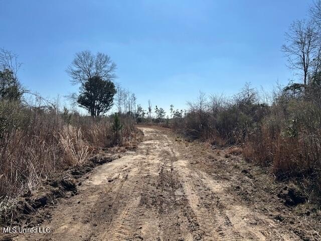 Fantastic 91 acre property in Sandy Hook, MS offering the - photo 45