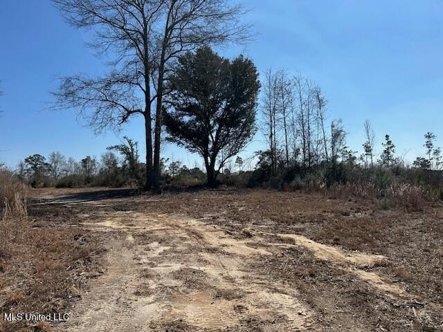 Fantastic 91 acre property in Sandy Hook, MS offering the - photo 46