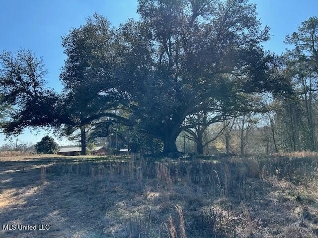 Fantastic 91 acre property in Sandy Hook, MS offering the - photo 50