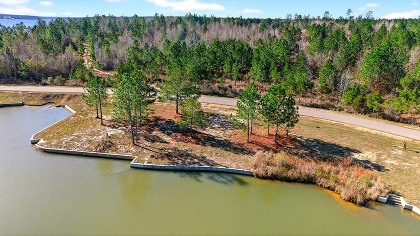 Beautiful waterfront lot in Big Bay Lake subdivsion, offering - photo 5
