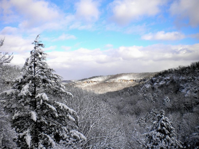 79 acre building lot right up the hill from a very convenient - photo 12