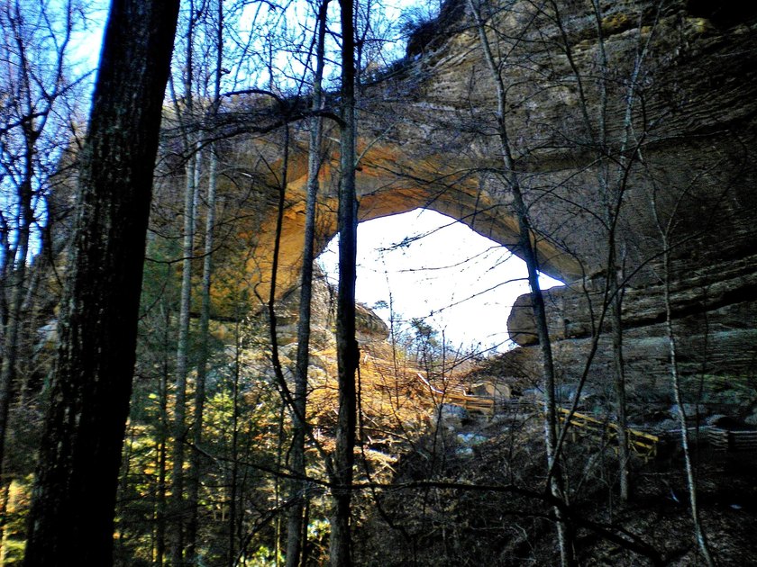 79 acre building lot right up the hill from a very convenient - photo 13