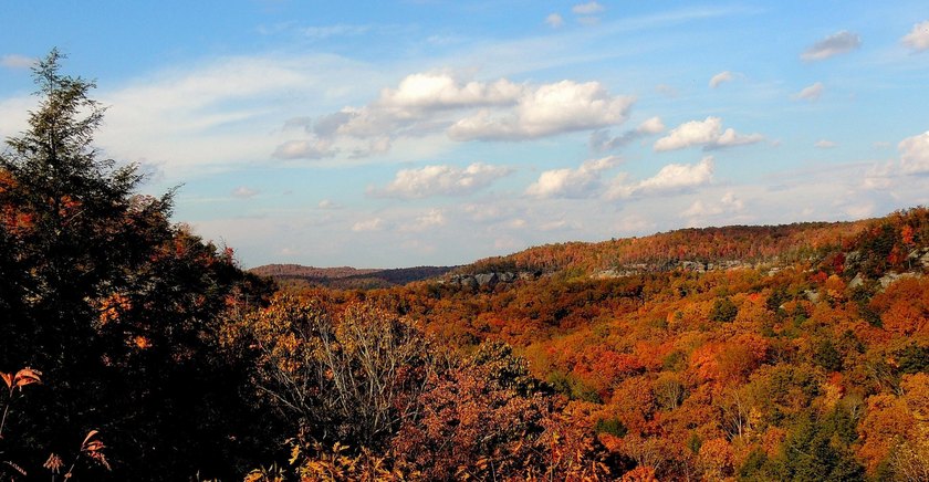 79 acre building lot right up the hill from a very convenient - photo 25