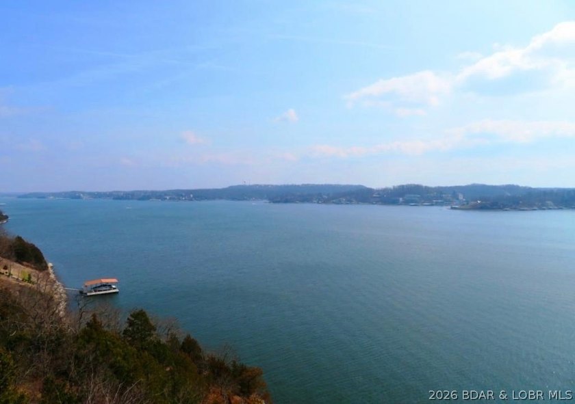 A VIEW FOR MILES! This one-of-a-kind custom log home showcases - photo 8