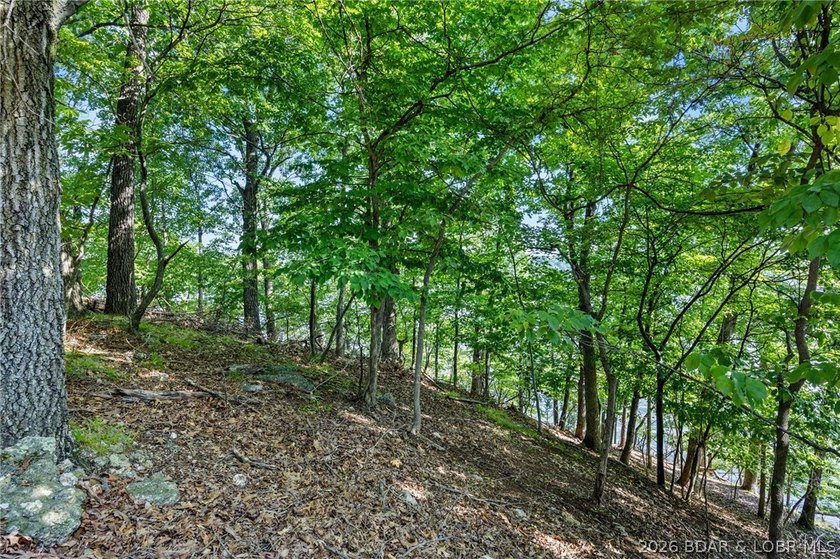 Welcome to one of Porto Cima's most extraordinary point lots on - photo 8