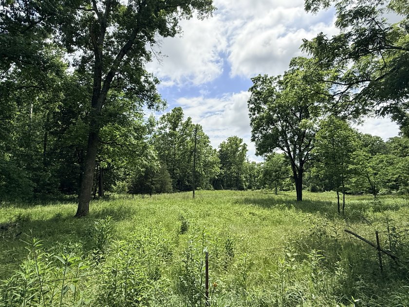 What a great piece of property here in Morgan county! This is 45 - photo 16