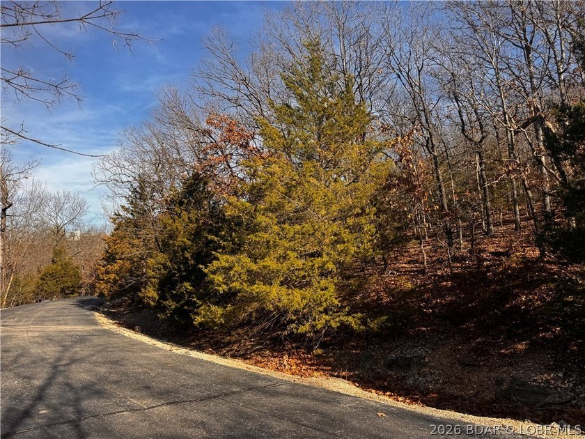 This Southern facing parcel is a very rare find at Lake of the - photo 9