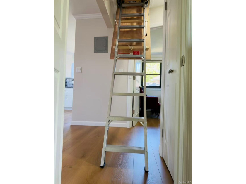 Beautiful newly renovated Large 2 Bedrooms in one of the best - photo 27