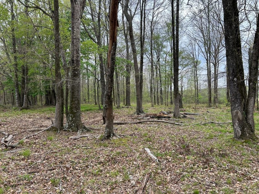 This 35 acres checks a lot of boxes including a 4+ acre private - photo 2