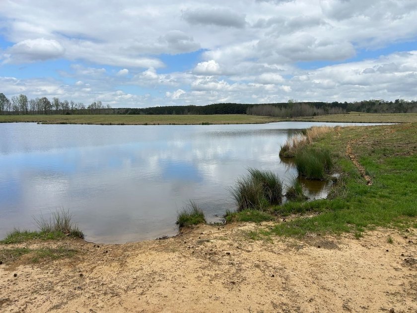 This 35 acres checks a lot of boxes including a 4+ acre private - photo 6