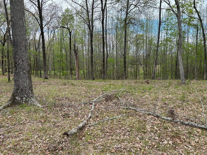 This 35 acres checks a lot of boxes including a 4+ acre private - photo 9