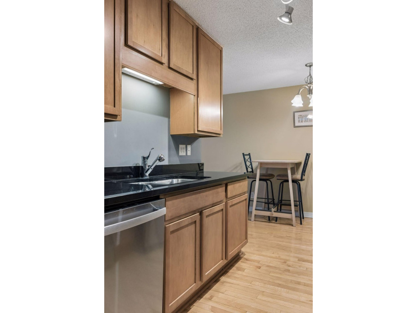 Welcome to the Lowry Hill Park Condominiums! Located directly - photo 13
