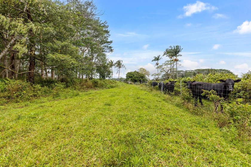 RARE OPPORTUNITY to own 18.03 acres of lush, productive land - photo 12