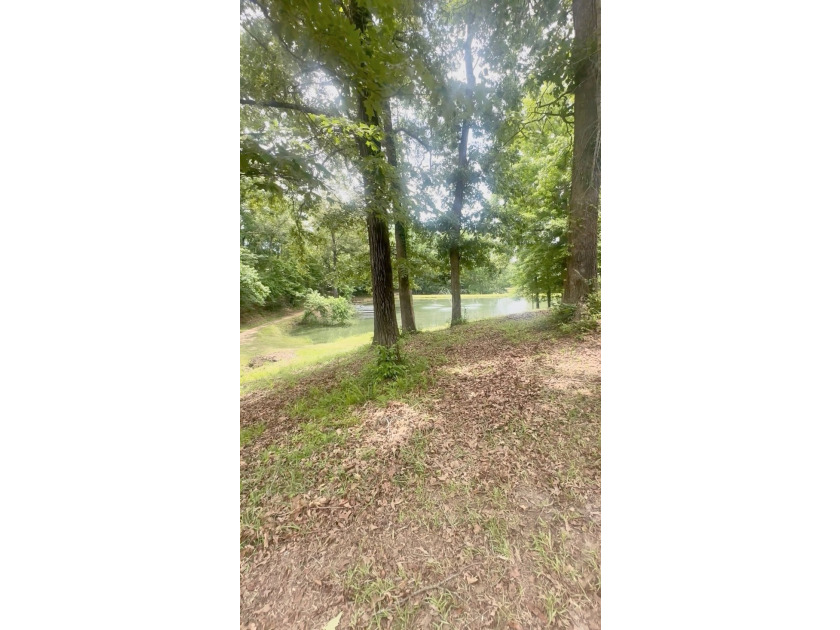 322 Sawyer Rd - photo 22