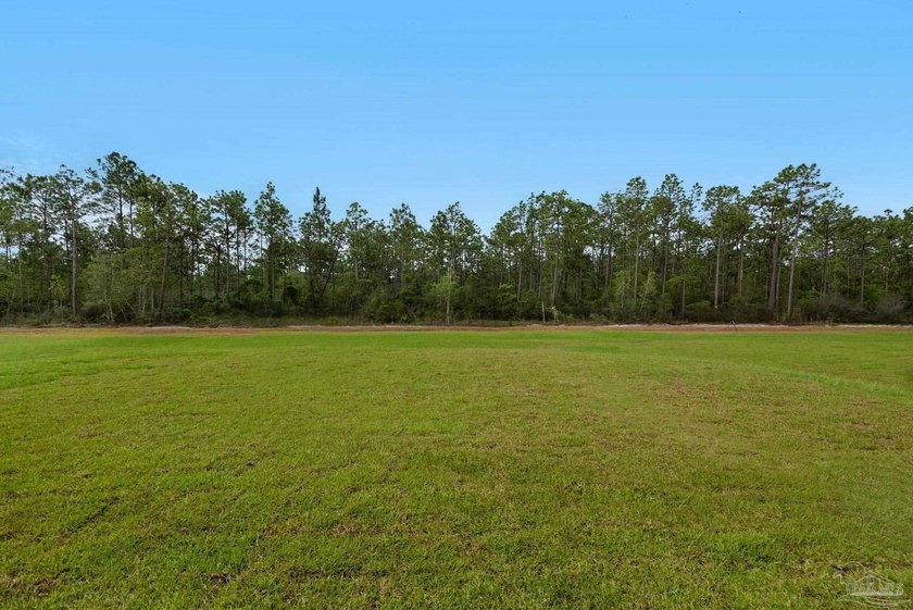 MOVE-IN READY NEW CONSTRUCTION ON 0.5 ACRES! // The *OSCEOLA* - photo 49