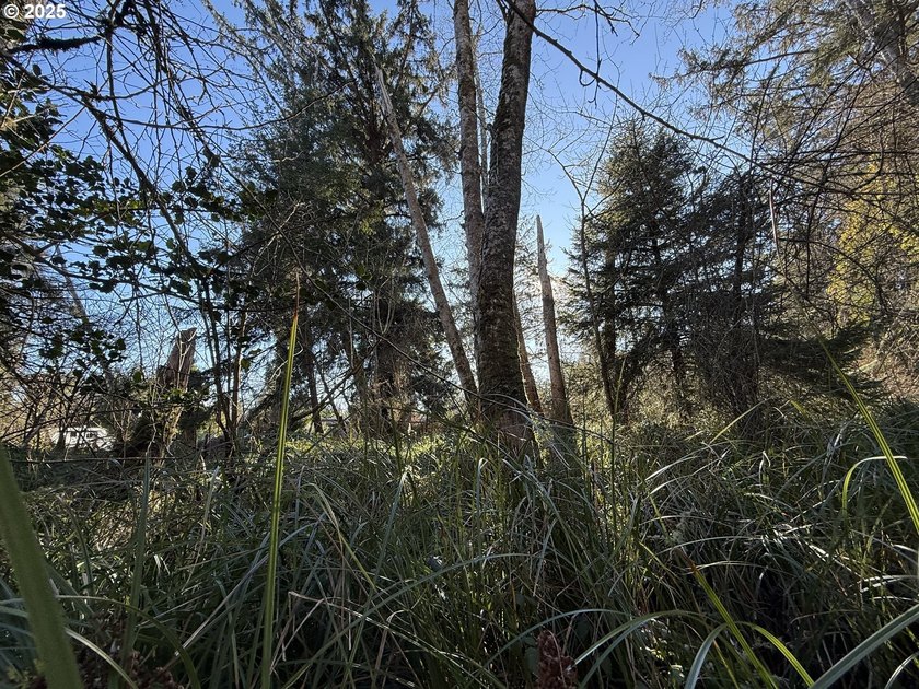 Discover the potential of these prime vacant lots located in - photo 3