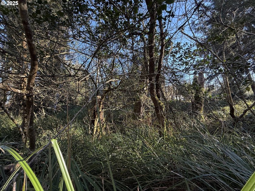 Discover the potential of these prime vacant lots located in - photo 4