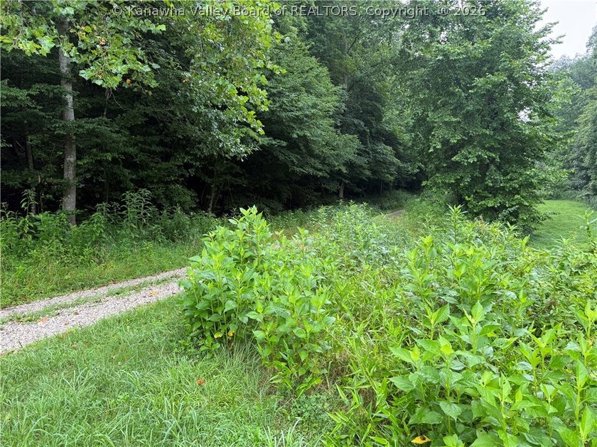Nice hunting property located less than 5 miles from Mud River - photo 2