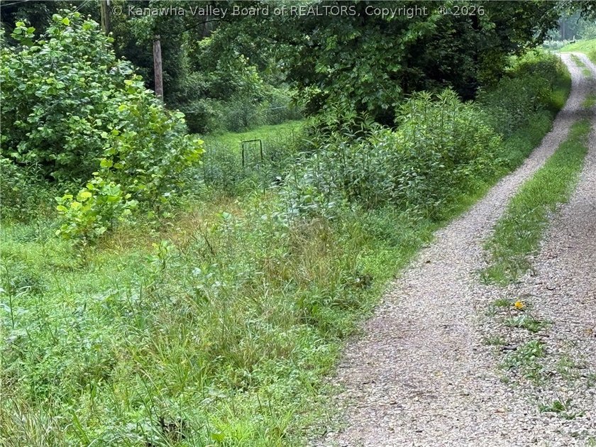 Nice hunting property located less than 5 miles from Mud River - photo 3