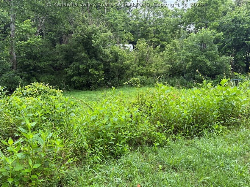 Nice hunting property located less than 5 miles from Mud River - photo 6