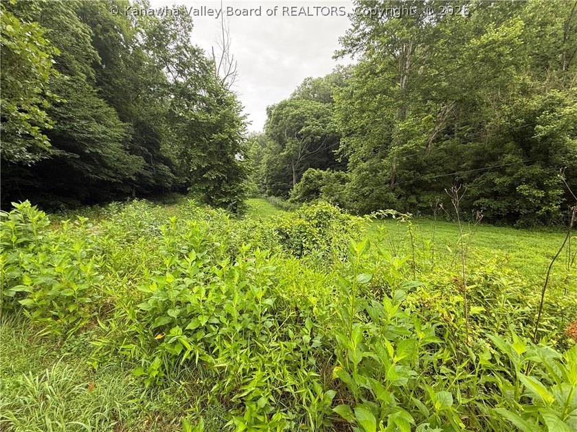 Nice hunting property located less than 5 miles from Mud River - photo 9