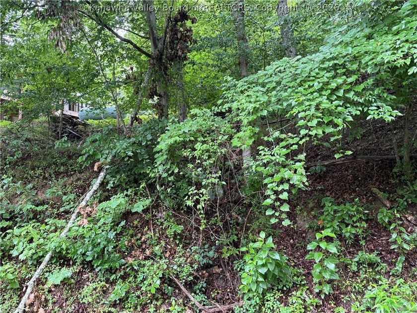 Nice hunting property located less than 5 miles from Mud River - photo 10