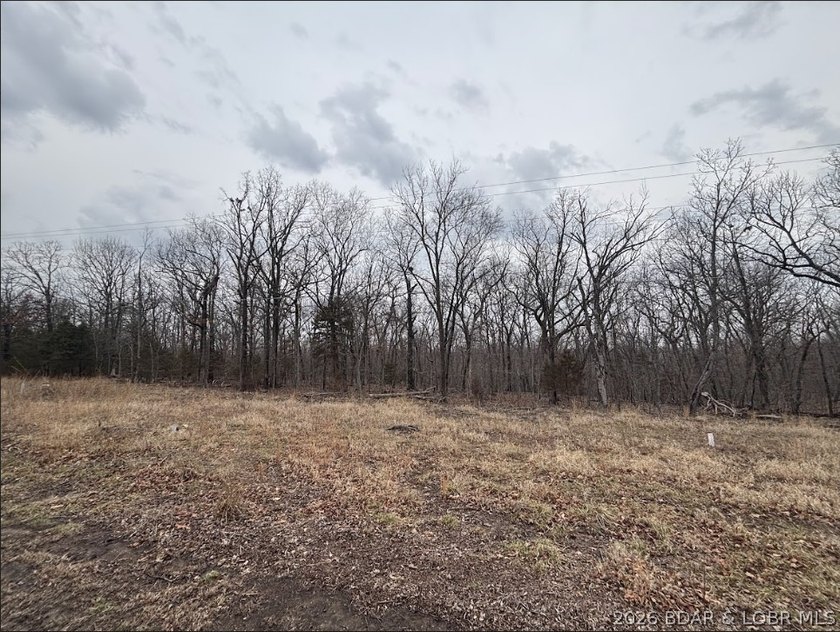 Build your Lake lifestyle here! This lot offers 98 ft of road - photo 3