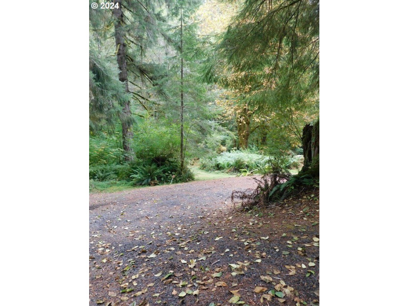 Have you been dreaming of finding a serene and tranquil retreat - photo 17