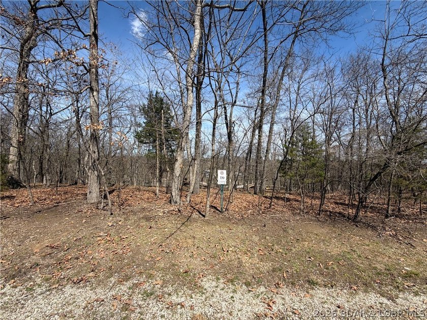 Build your dream home in the highly sought-after...The Villages - photo 2