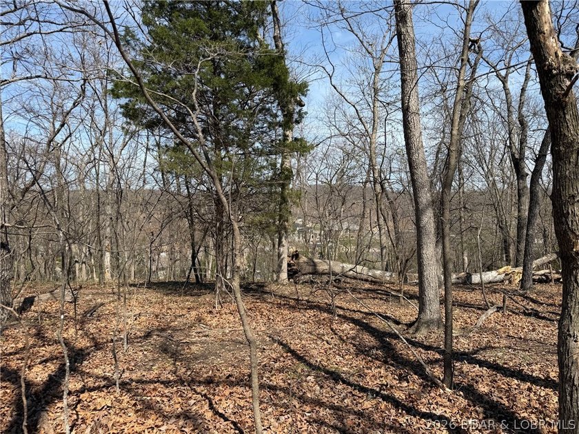 Build your dream home in the highly sought-after...The Villages - photo 4