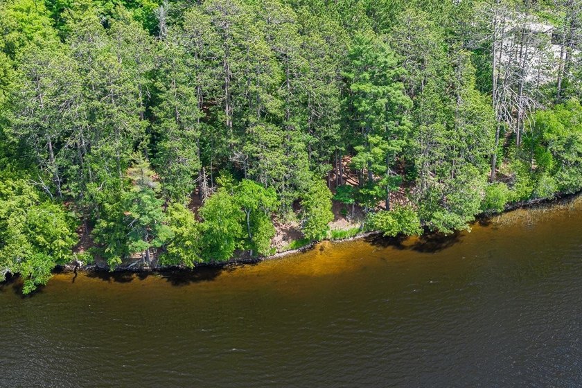 Your Private Oasis on the Palmer/Tenderfoot Chain. Discover the - photo 29