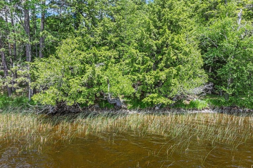 Your Private Oasis on the Palmer/Tenderfoot Chain. Discover the - photo 32