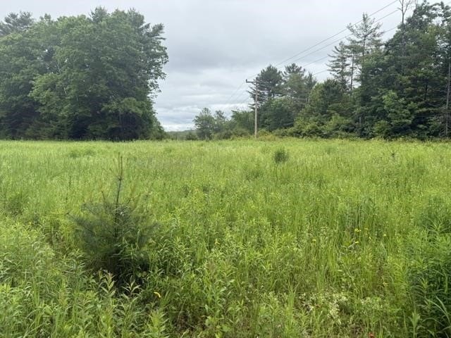 2.55 serene acres with 160 feet of Ammonoosuc River frontage, an - photo 10