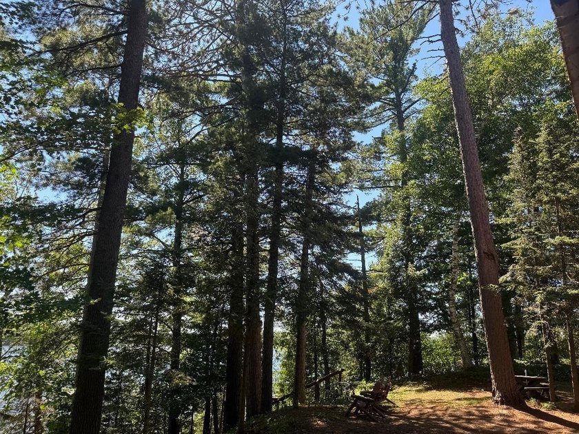 Northwoods playground! Year-round home on a secluded 1.3-acre - photo 33