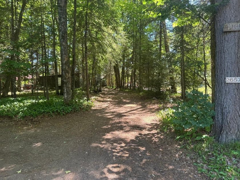 Northwoods playground! Year-round home on a secluded 1.3-acre - photo 47