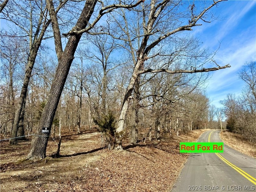 Build your dream country estate with lake views of the 50mm or - photo 9