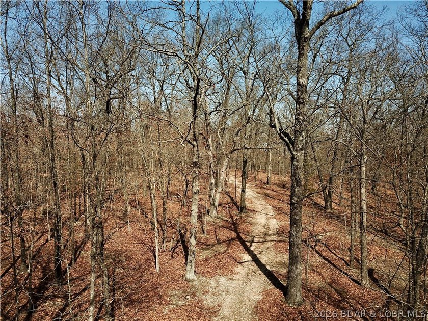 Build your dream country estate with lake views of the 50mm or - photo 10