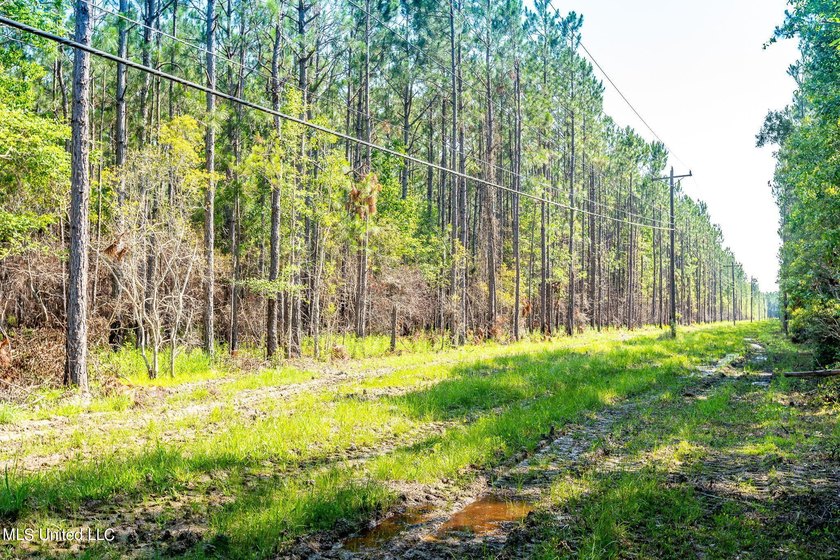 Don't miss your chance to own a unique piece of land with tons - photo 11