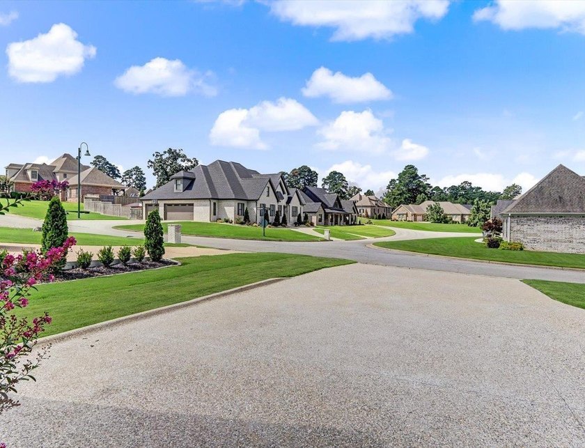 Move-in ready 4BR/3BA home in the gated Arlington Park community - photo 29