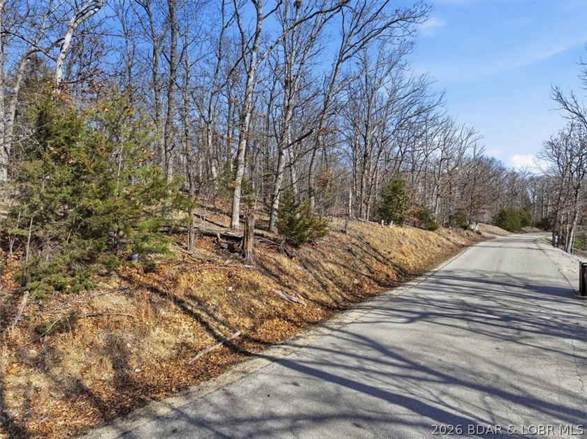Exceptional vacant lot with beautiful direct water views located - photo 9