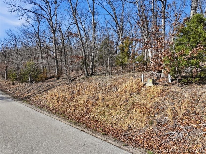 Exceptional vacant lot with beautiful direct water views located - photo 10