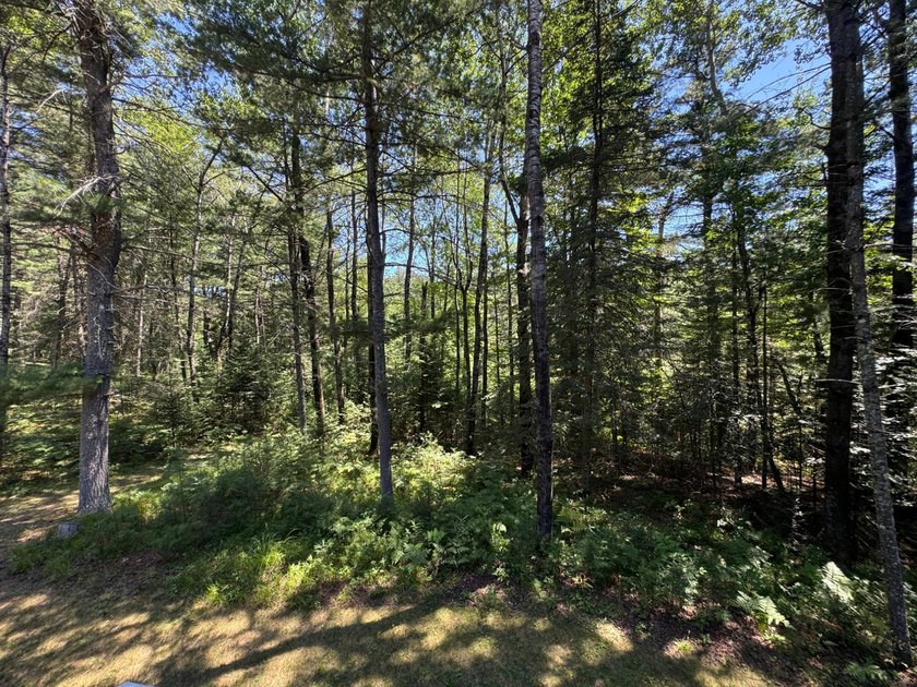 Tomahawk Riverfront Home- the perfect Northwoods retreat where - photo 32