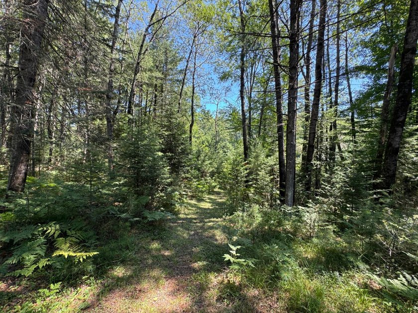 Tomahawk Riverfront Home- the perfect Northwoods retreat where - photo 33