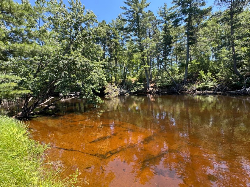 Tomahawk Riverfront Home- the perfect Northwoods retreat where - photo 35