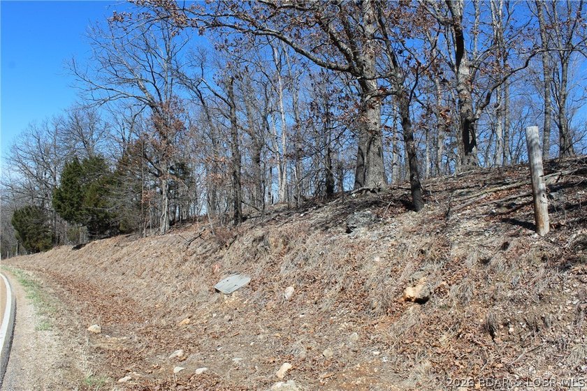 Hard-to-find 5-acre wooded tract with F Highway frontage in the - photo 3