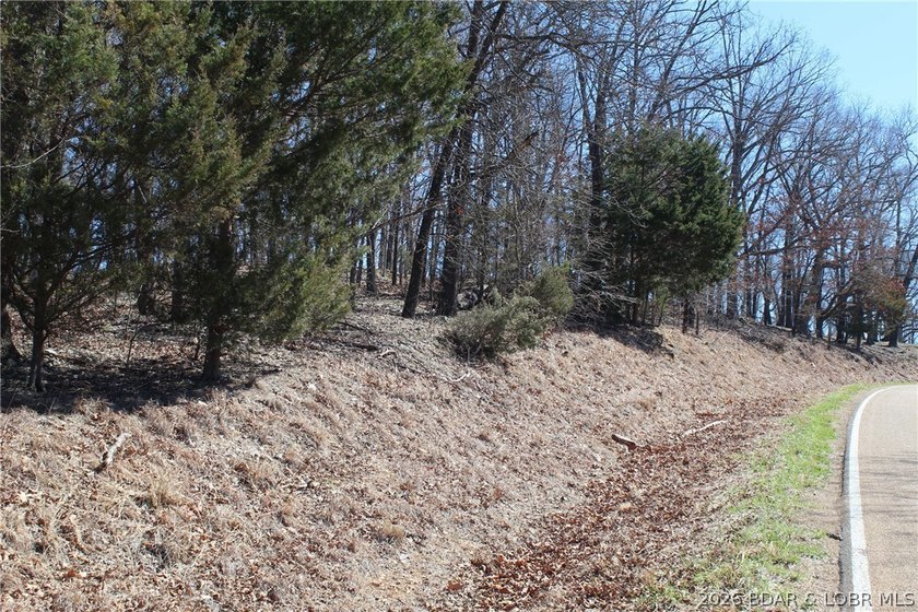 Hard-to-find 5-acre wooded tract with F Highway frontage in the - photo 4