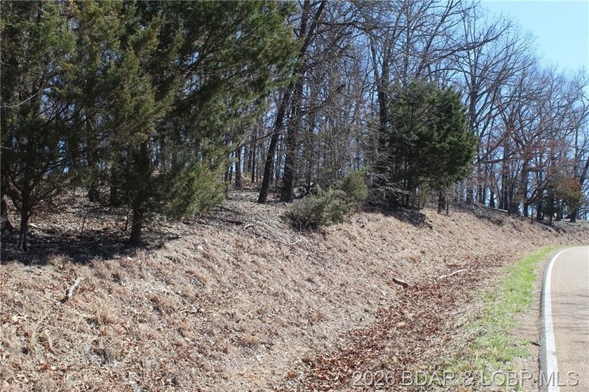Hard-to-find 5-acre wooded tract with F Highway frontage in the - photo 4