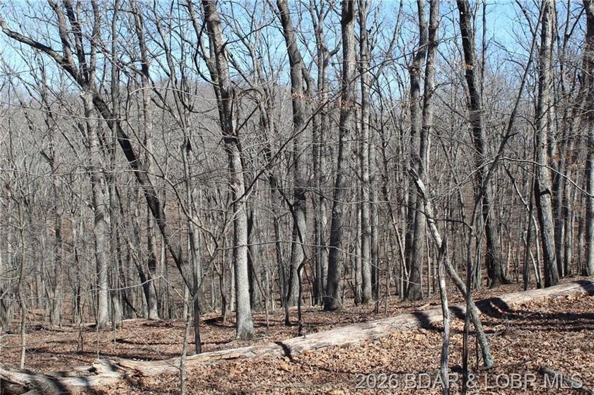 Hard-to-find 5-acre wooded tract with F Highway frontage in the - photo 6