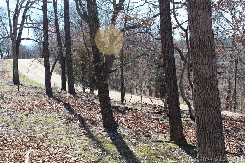 Hard-to-find 5-acre wooded tract with F Highway frontage in the - photo 8
